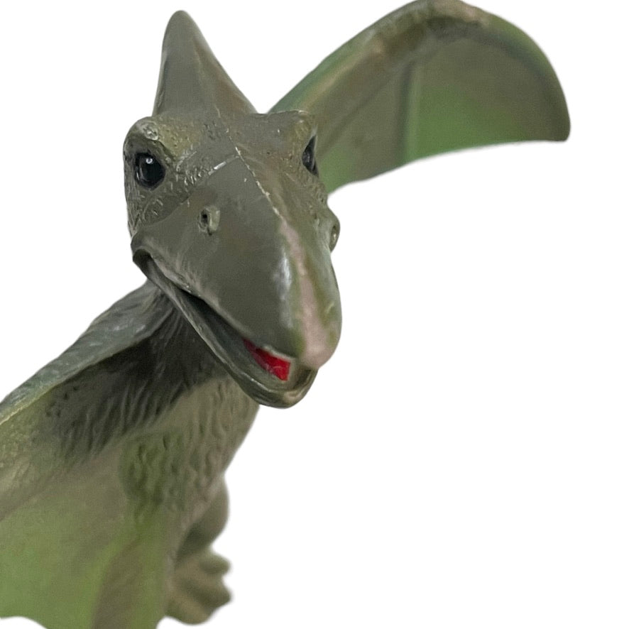 Flying Dinosaurs! Pteranodon and Petosaurs from The Early Jurassic Period Lot of 2 Dinosaur Toys