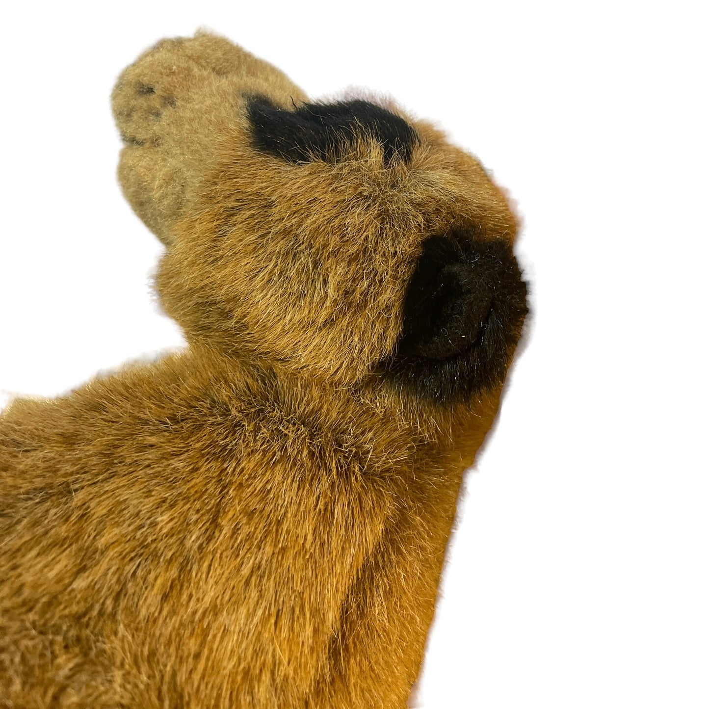 Realistic Fiesta 14" Sitting Meerkat with Black Ears, Paws & Feet, in EUC, A Real Treasure!