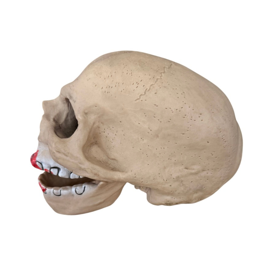 Creepy Skull Halloween Decor with Moveable Jaw and Red Smears on its Black Rimmed Teeth