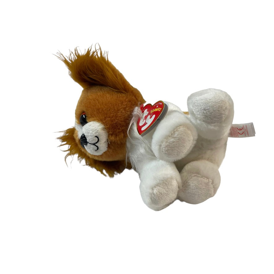 Blenheim Cavalier King Charles/Papillon Ty Beanie, 'Barks' UWT