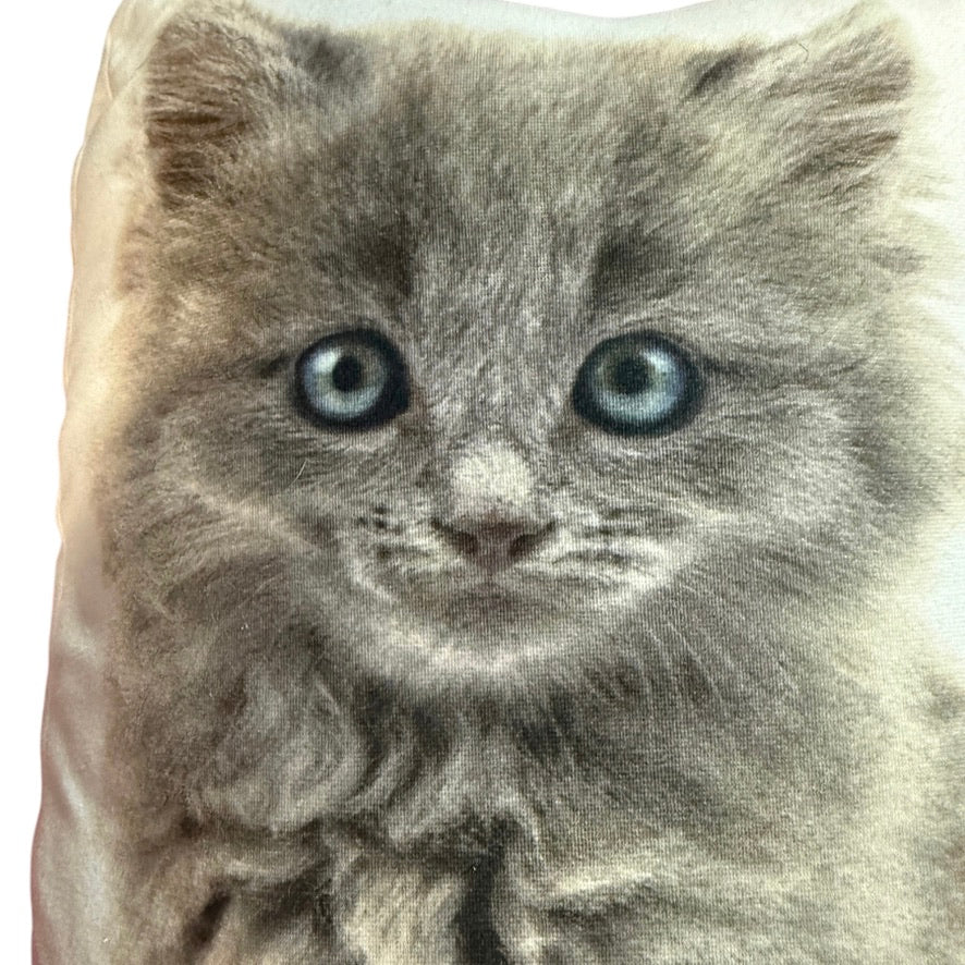 Adorable Kitten Print COZY 16" Cuddle Pillow/Cushion in EUC - Decor. or Sleepy Time Friend!