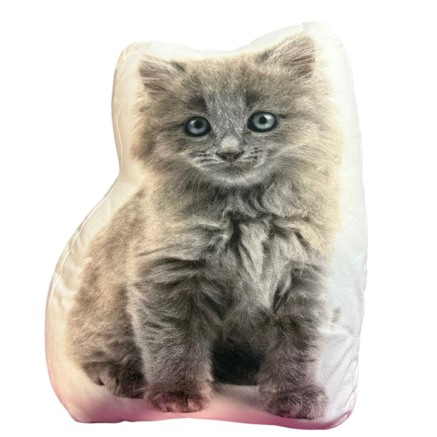 Adorable Kitten Print COZY 16" Cuddle Pillow/Cushion in EUC - Decor. or Sleepy Time Friend!