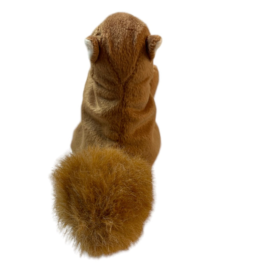 TY Beanie Baby, 'NUTS' the Squirrel, Retired 1996, Stuffed 6” Woodland Plush in GUC