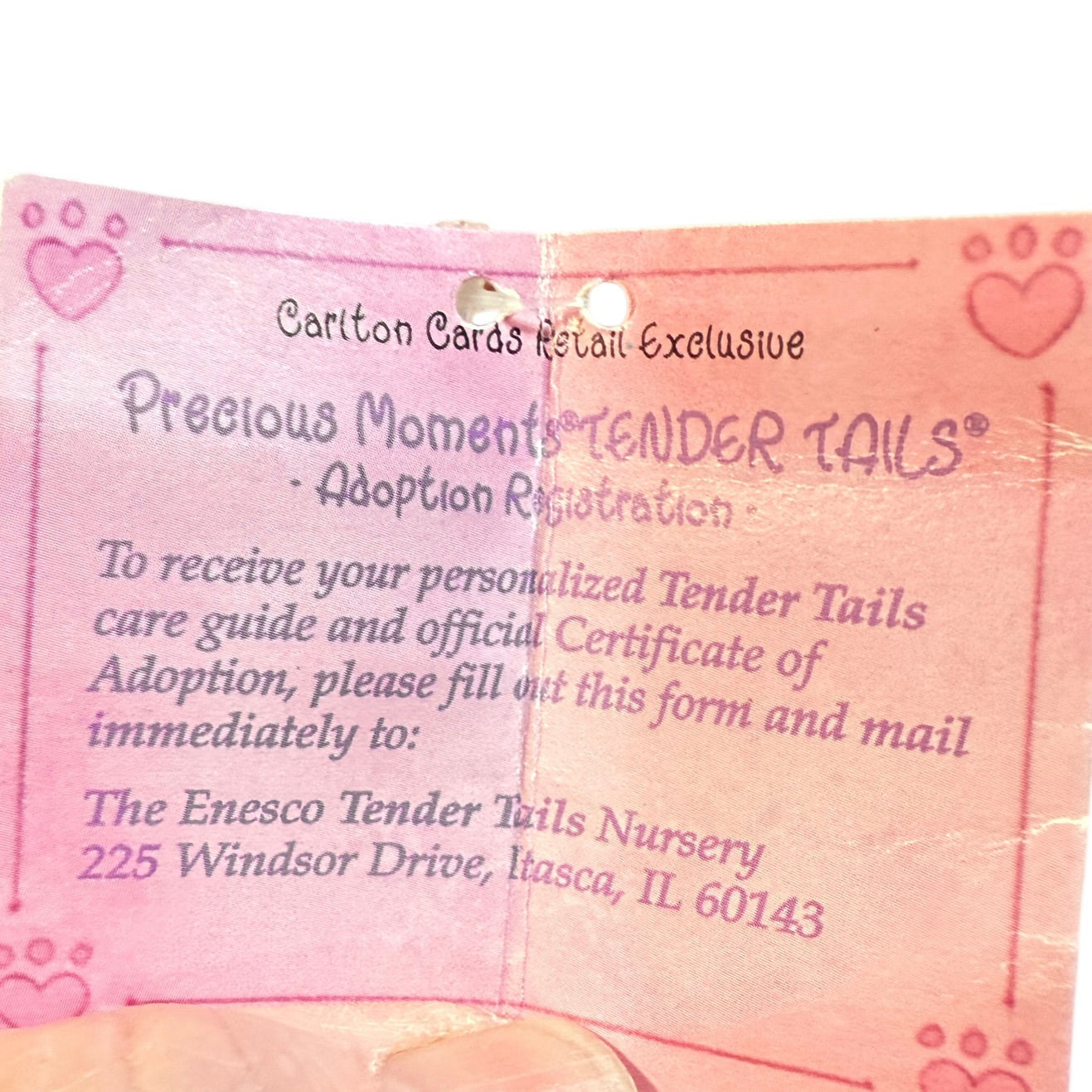 Precious Moments St. Bernard Puppy Dog Plush by Enesco with Cocoa Cask & Freckles!