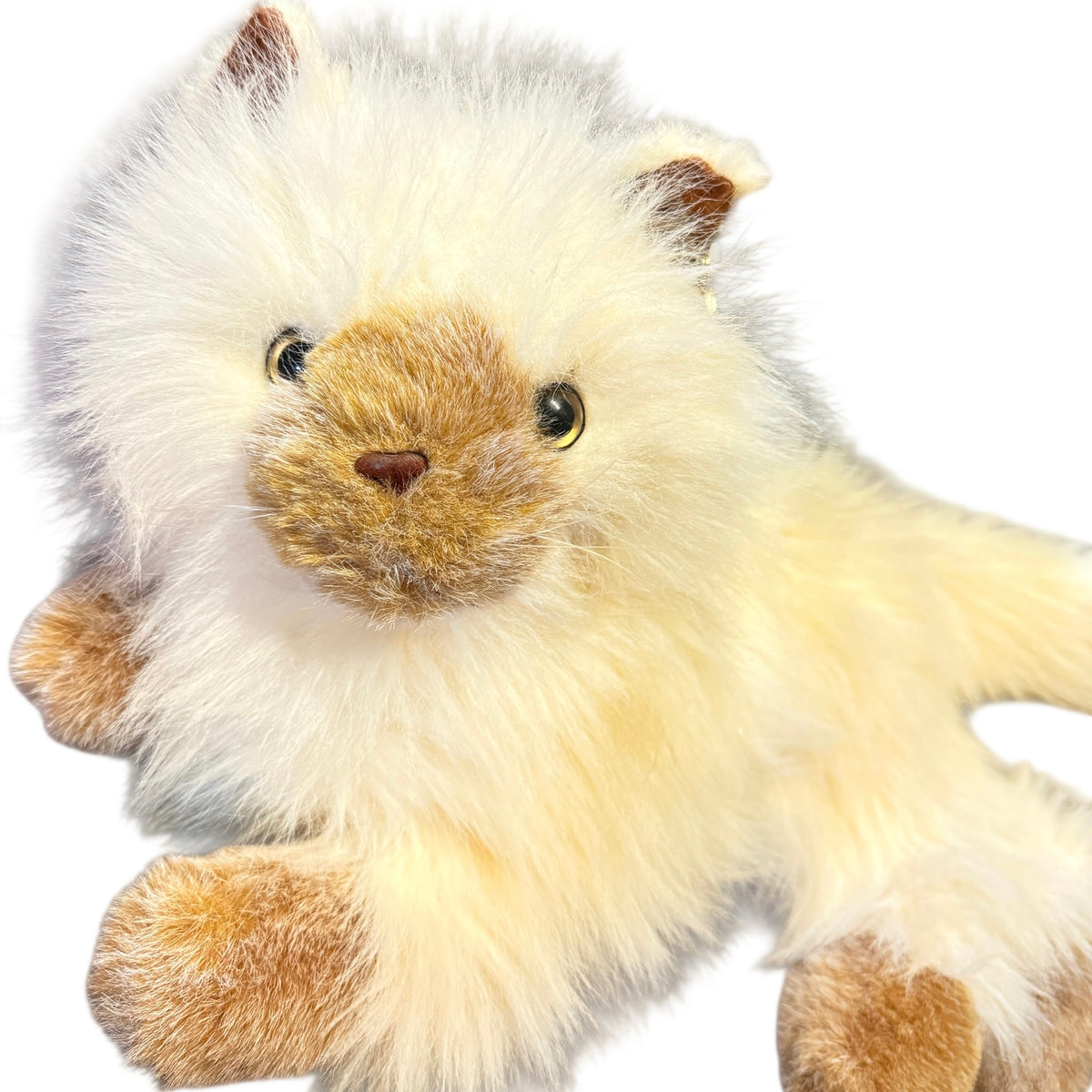 Details Comic Strip Himalayan 16" Stuffed Cream & Tan Stuffed Cat/Kitten, Ultra Furry & Cuddly