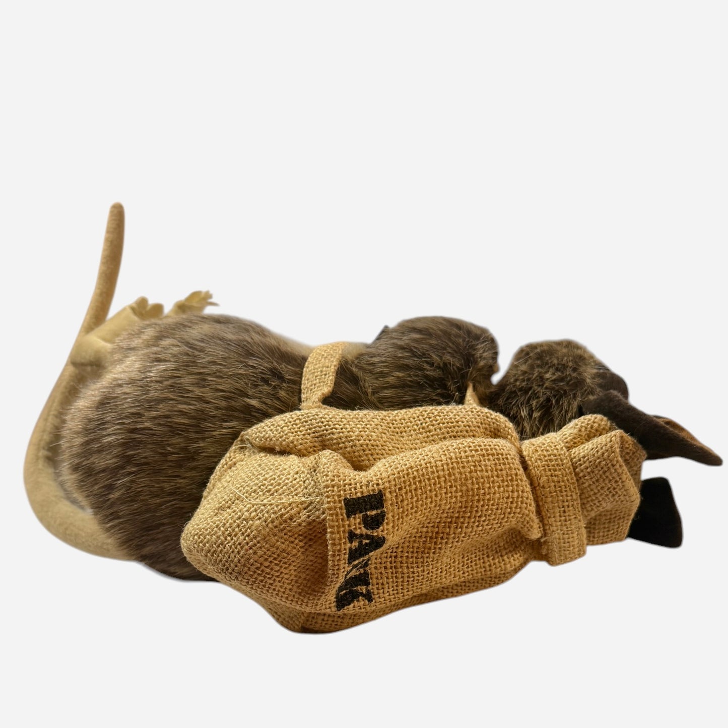 Realistic Folkmanis Pack Rat Hand Puppet with Burlap Sac and Huge Ears & Eyes! So Cute!