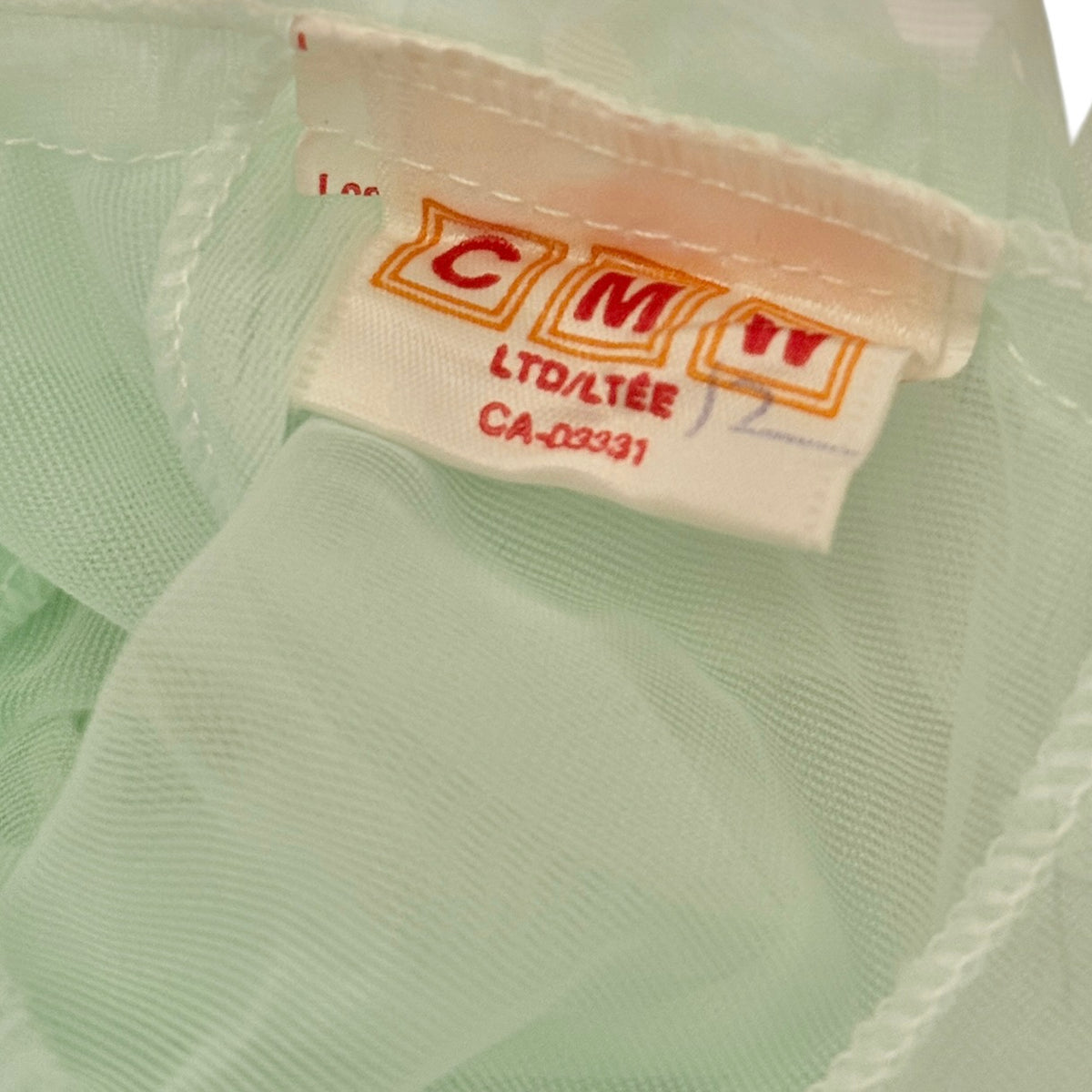 Canadian Made Vintage Sheer Mint Baby Dress with Cascading Ruffles & Rose Applique