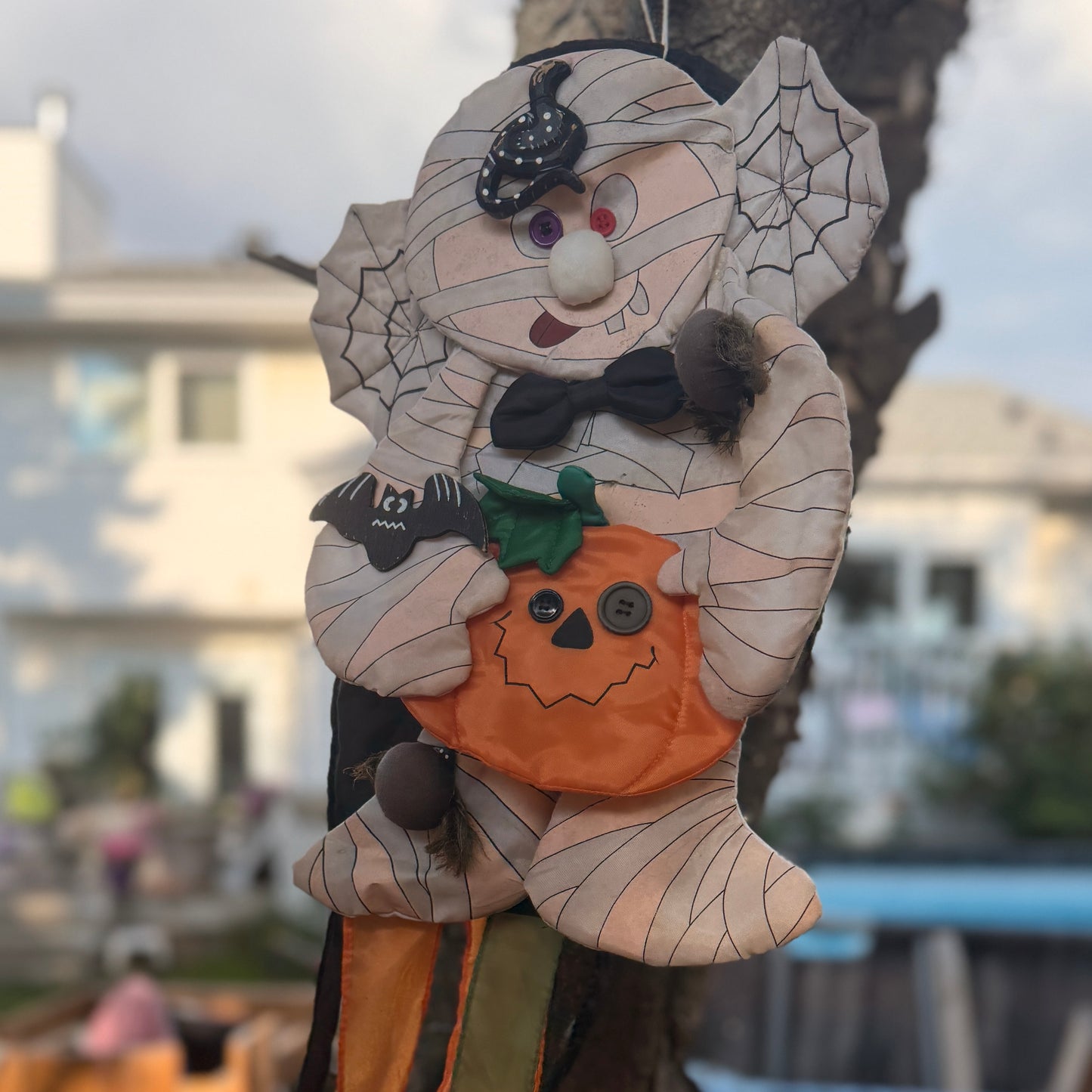 Dandee Halloween Decor, Windsock with Mummy/Spider Webs & Other Scary Things!