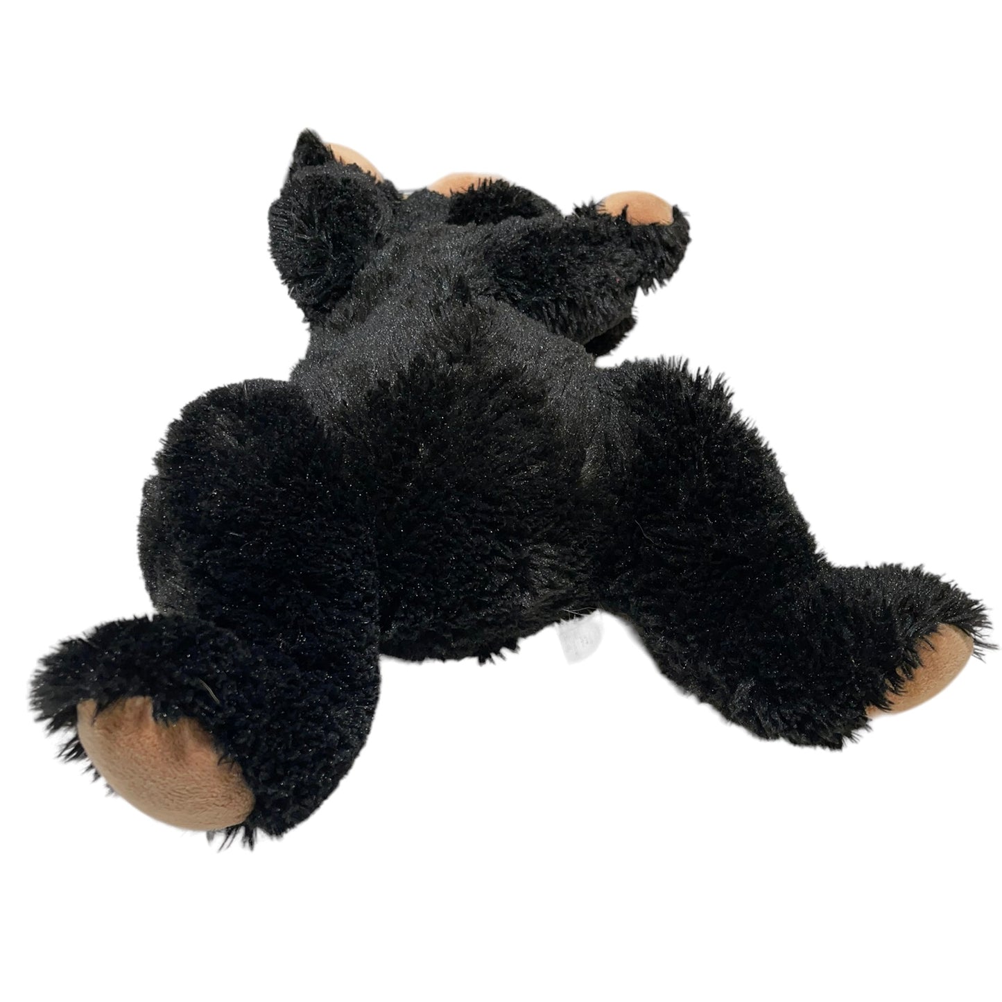Cuddly Baby Black Bear with Tan Accents Preowned Vintage in GUC