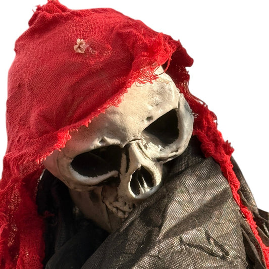 Grim Reaper Skeleton Hanging Indoor/Outdoor Halloween Decor, Black & Red Tatters