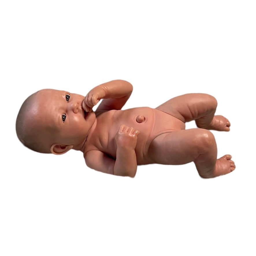 Berenguer Weighted Vinyl Newborn Baby Doll, Exquisitely Detailed, Posable and Beautifully Realistic