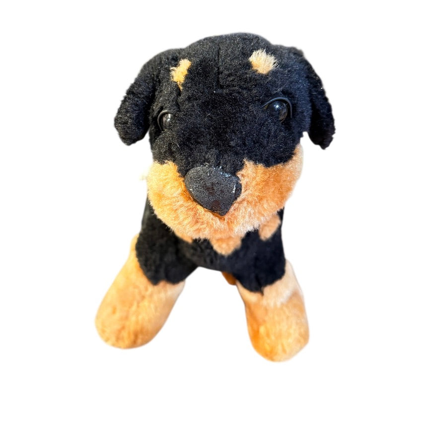 Rottweiler Realistic Plush, 10", Spiked' Collar, Classic Rottie Colours, Sweet Face in GUC