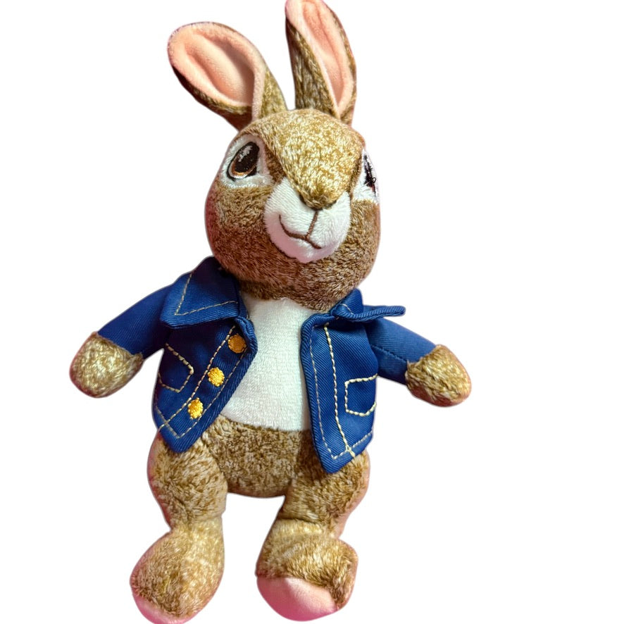 Dandee Frosted Peter Rabbit 9" Plush Stuffed Animal Toy Embroidered Eyes & Finely Detailed Jacket