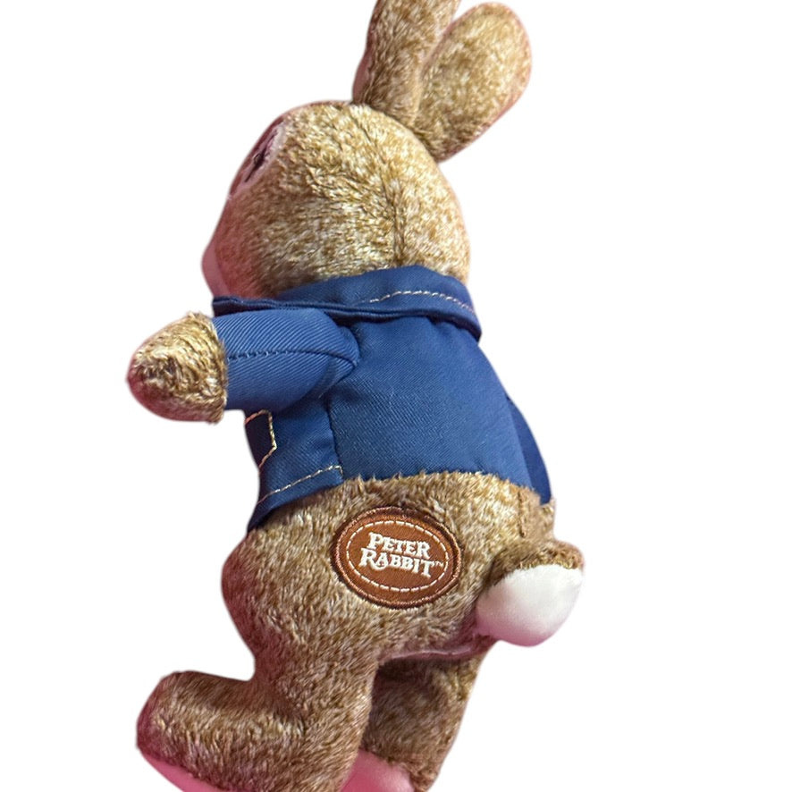 Dandee Frosted Peter Rabbit 9" Plush Stuffed Animal Toy Embroidered Eyes & Finely Detailed Jacket