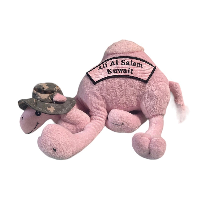 Military Baby Camel, 'I Miss You' Pink Stuffed Animal, Camo Sun Hat, Kuwait Naval Base