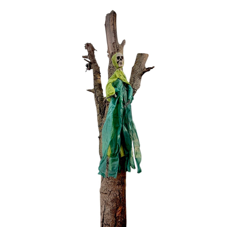 Floating Ghoul,  Skeletal Hands &  Bony Bleached  Skull in Tattered Green Shroud, Preowned