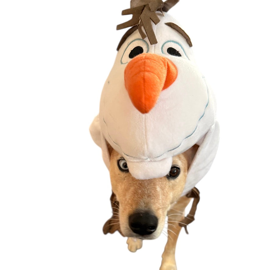 From Disney Frozen, Adorable Olaf Costume for your Canine Friend! Halloween Fun for Dogs!