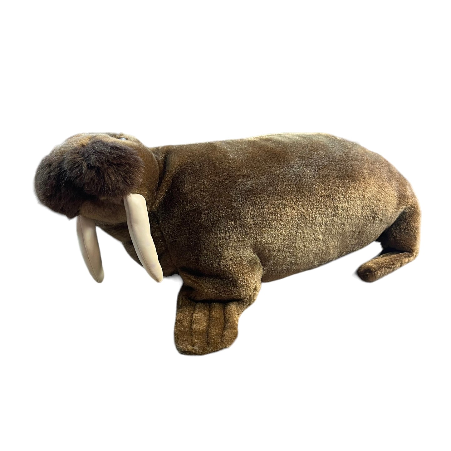 Sleek Brown Walrus, Cream Coloured Tusks & Black Bead Eyes, Realistic 13" Toy