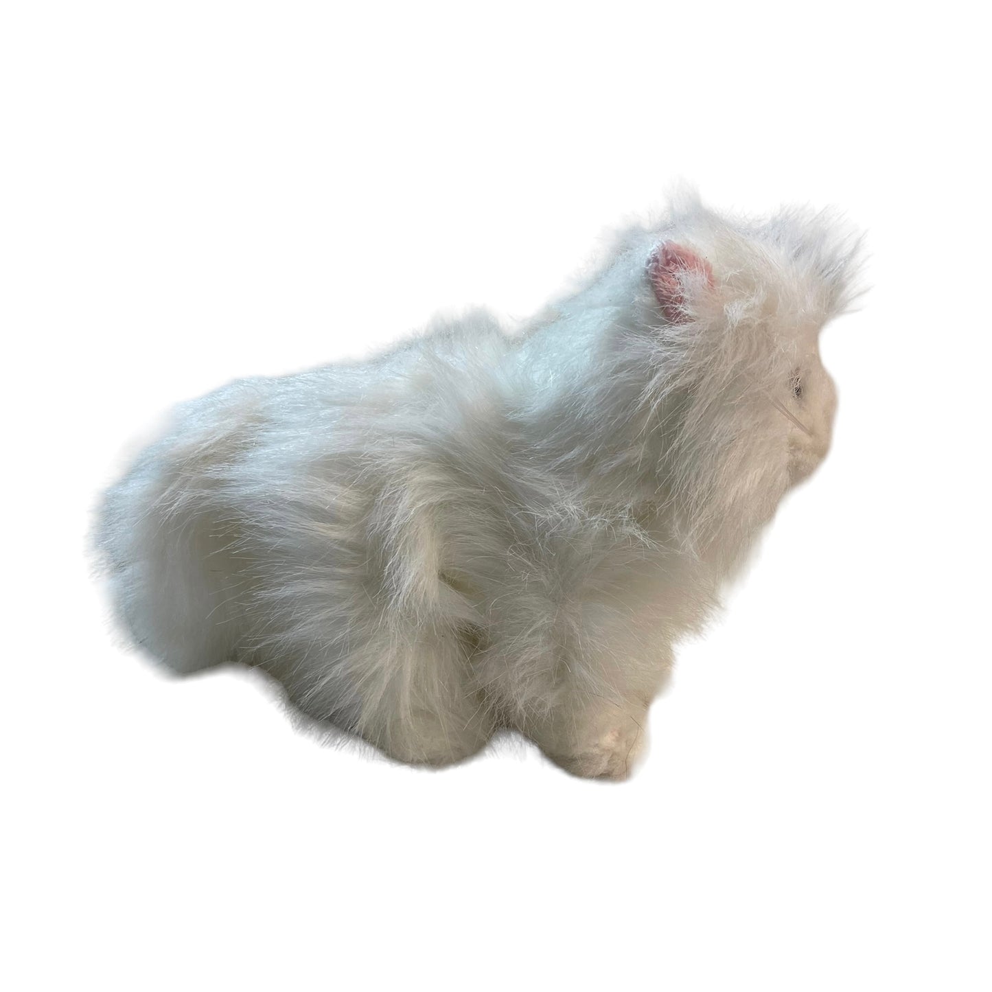 Ganz Webkinz Signature 8" White Persian Cat Without Code EUC