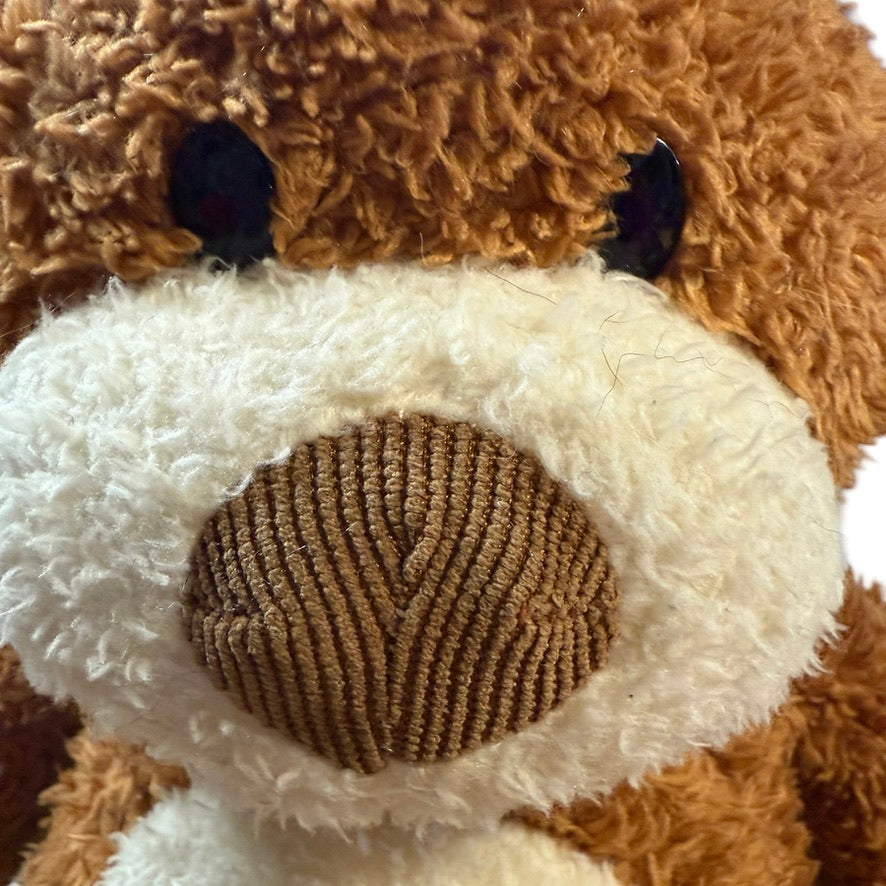 Ryland, Stollery Children's Hospital 2019-20 Charity Bear, Brown & Cream, Corduroy Nose & Paws