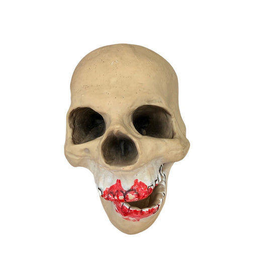Creepy Skull Halloween Decor with Moveable Jaw and Red Smears on its Black Rimmed Teeth