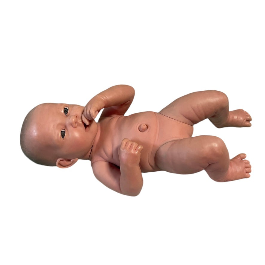 Berenguer Weighted Vinyl Newborn Baby Doll, Exquisitely Detailed, Posable and Beautifully Realistic