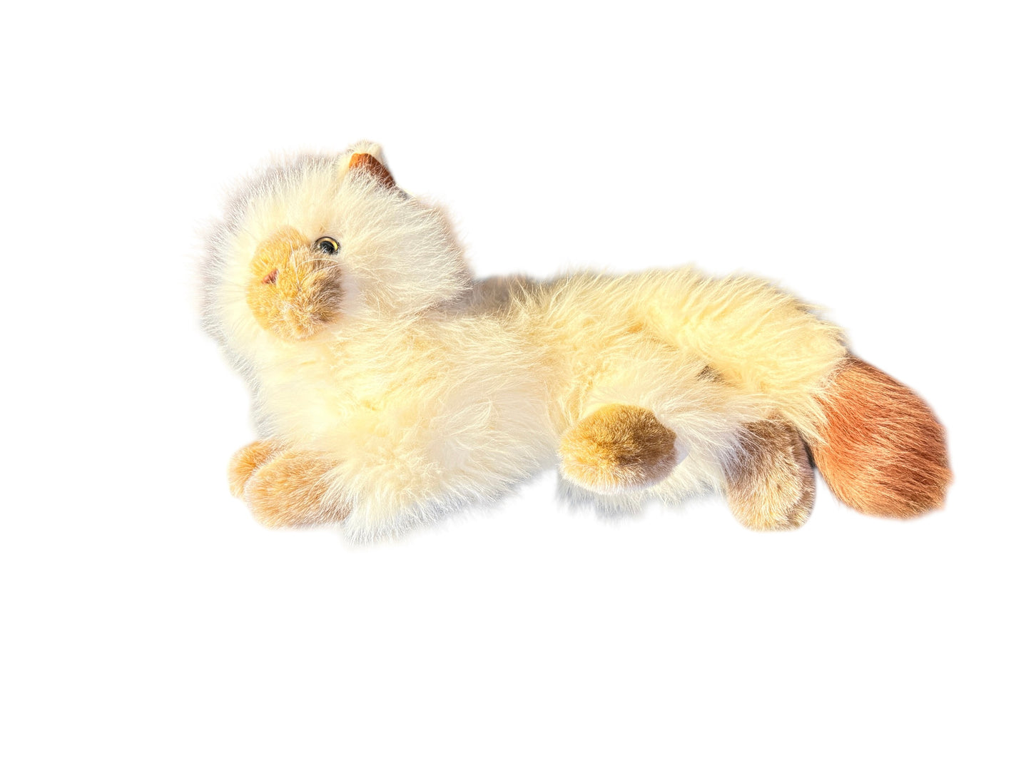 Details Comic Strip Himalayan 16" Stuffed Cream & Tan Stuffed Cat/Kitten, Ultra Furry & Cuddly