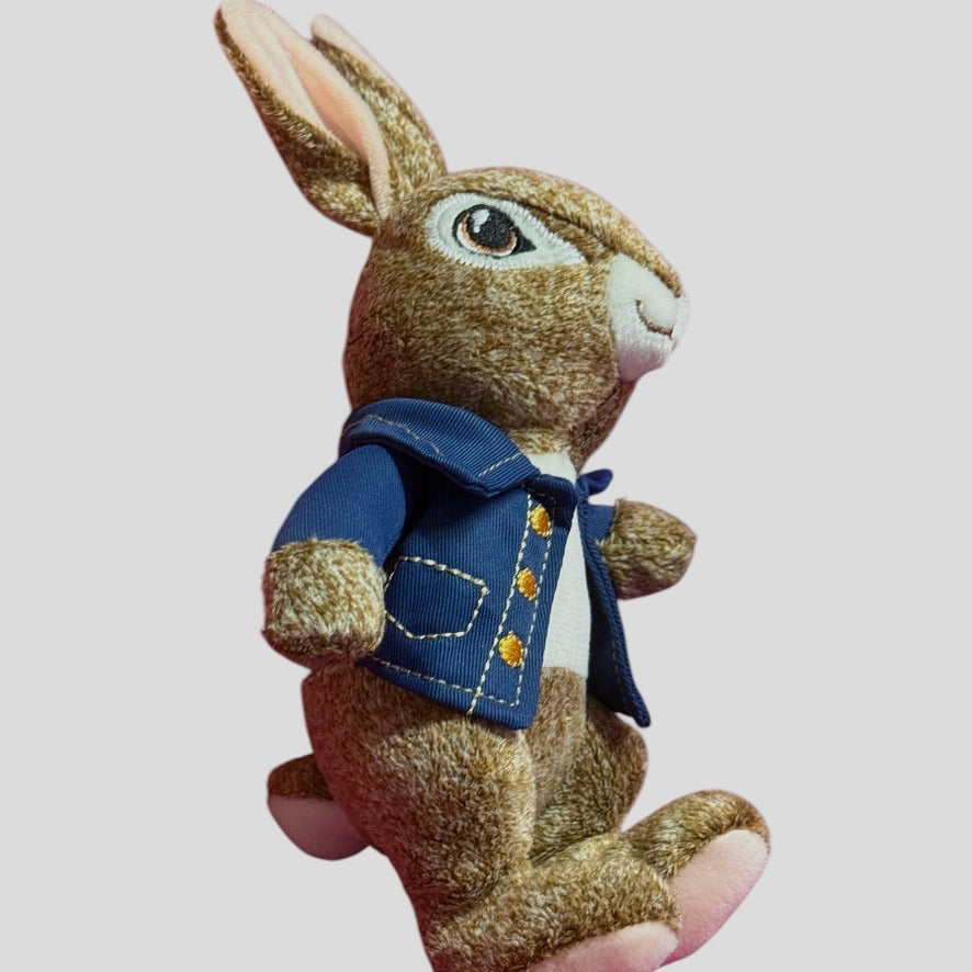 Dandee Frosted Peter Rabbit 9" Plush Stuffed Animal Toy Embroidered Eyes & Finely Detailed Jacket