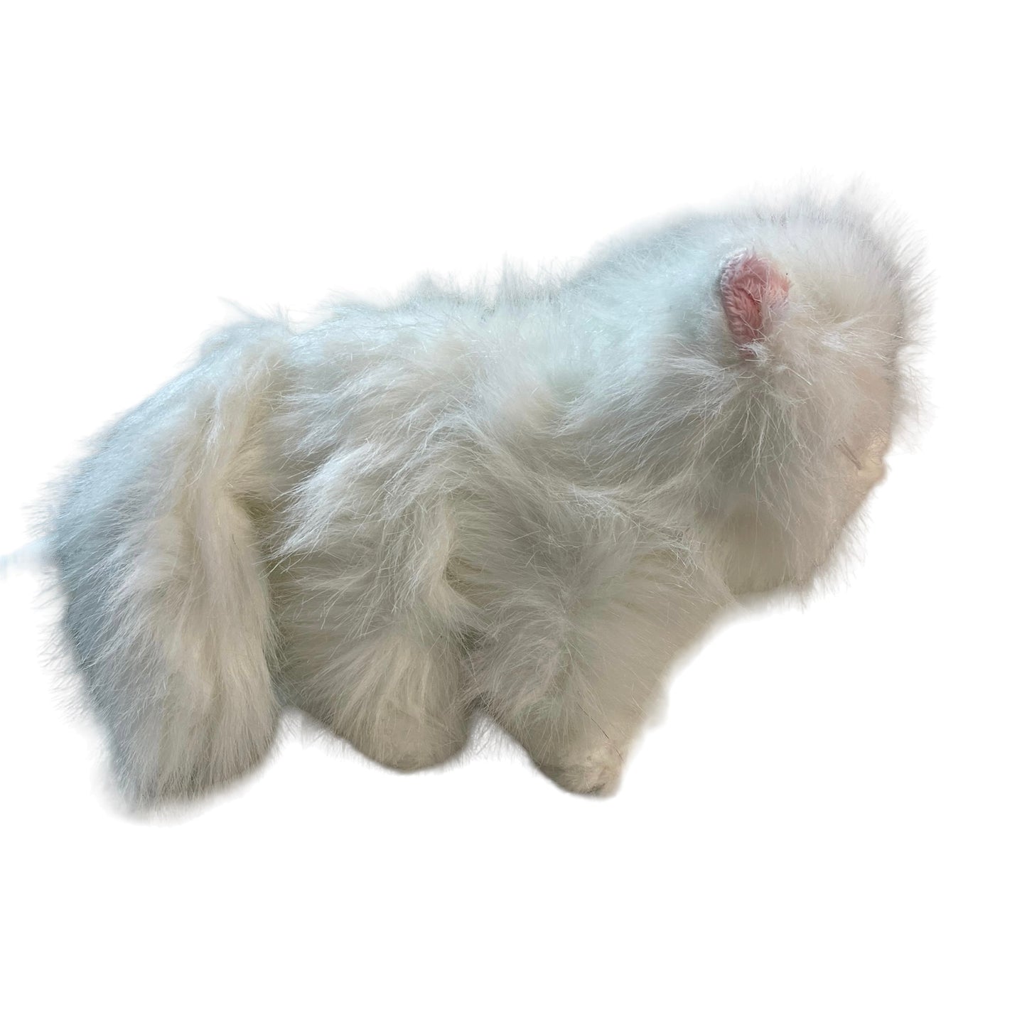 Ganz Webkinz Signature 8" White Persian Cat Without Code EUC