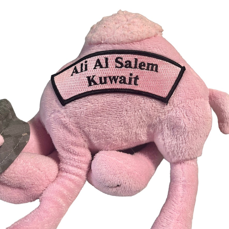 Military Baby Camel, 'I Miss You' Pink Stuffed Animal, Camo Sun Hat, Kuwait Naval Base