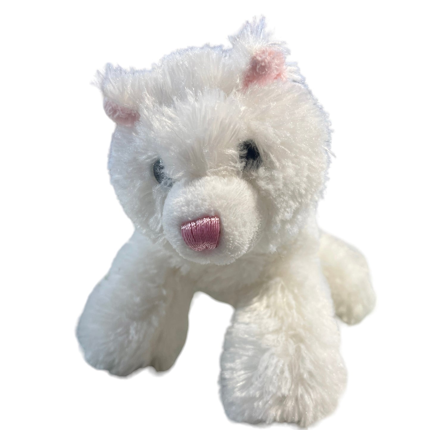 Aurora Kitten, Sugar Too, Fluffy White 6" Kitten with Pretty Blue Eyes Stuffed Animal Toy in GUC