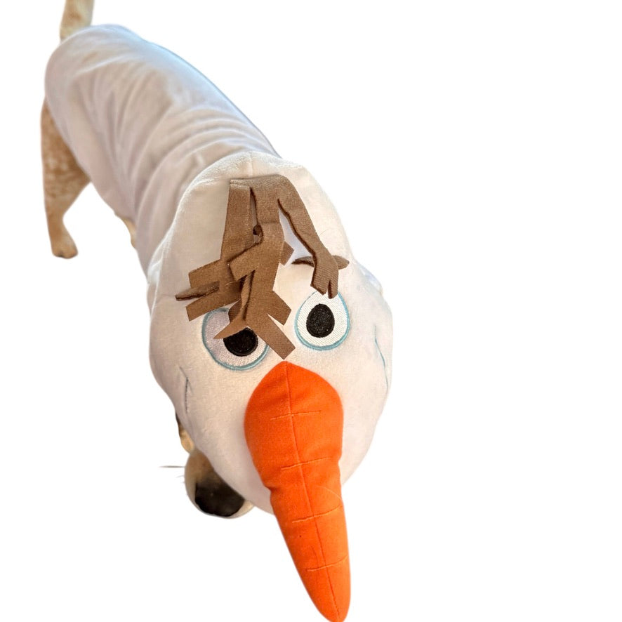 From Disney Frozen, Adorable Olaf Costume for your Canine Friend! Halloween Fun for Dogs!