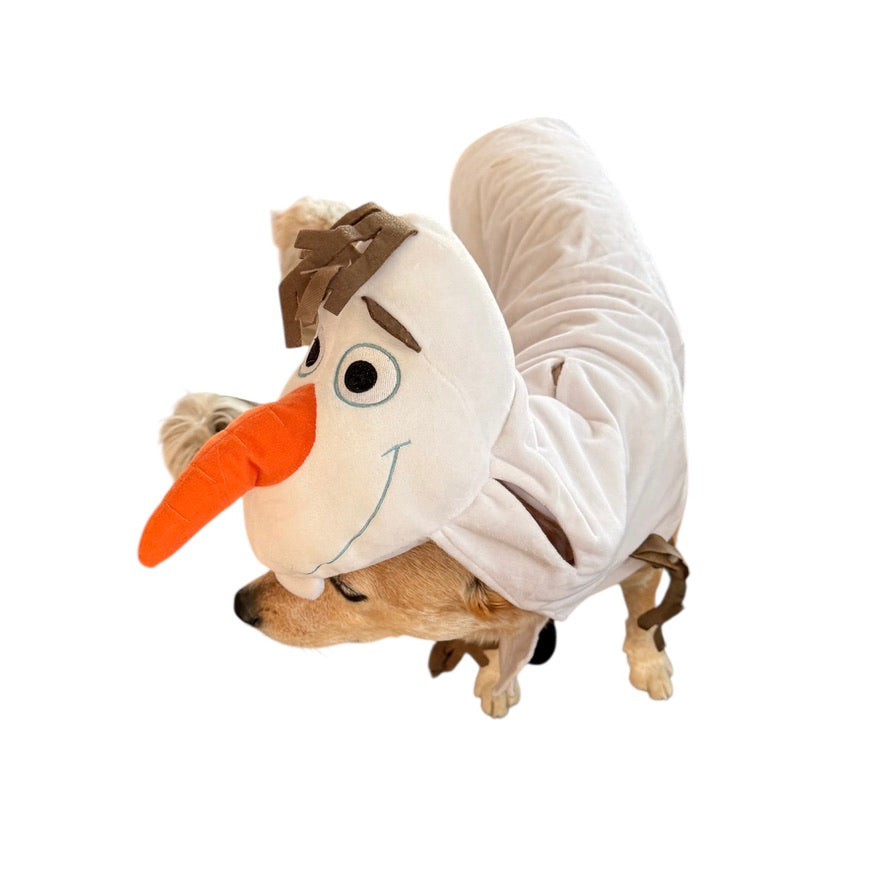 From Disney Frozen, Adorable Olaf Costume for your Canine Friend! Halloween Fun for Dogs!