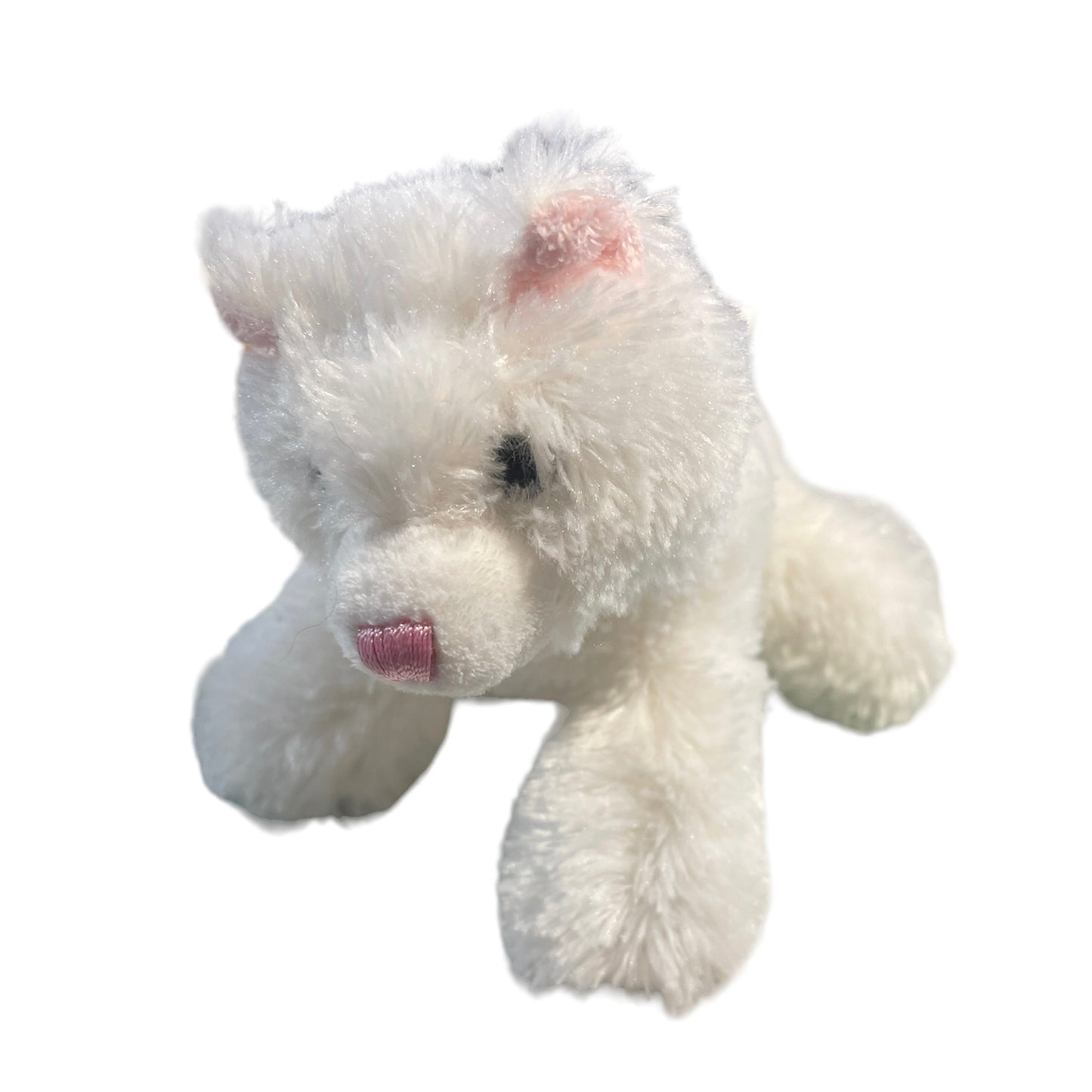 Aurora Kitten, Sugar Too, Fluffy White 6" Kitten with Pretty Blue Eyes Stuffed Animal Toy in GUC