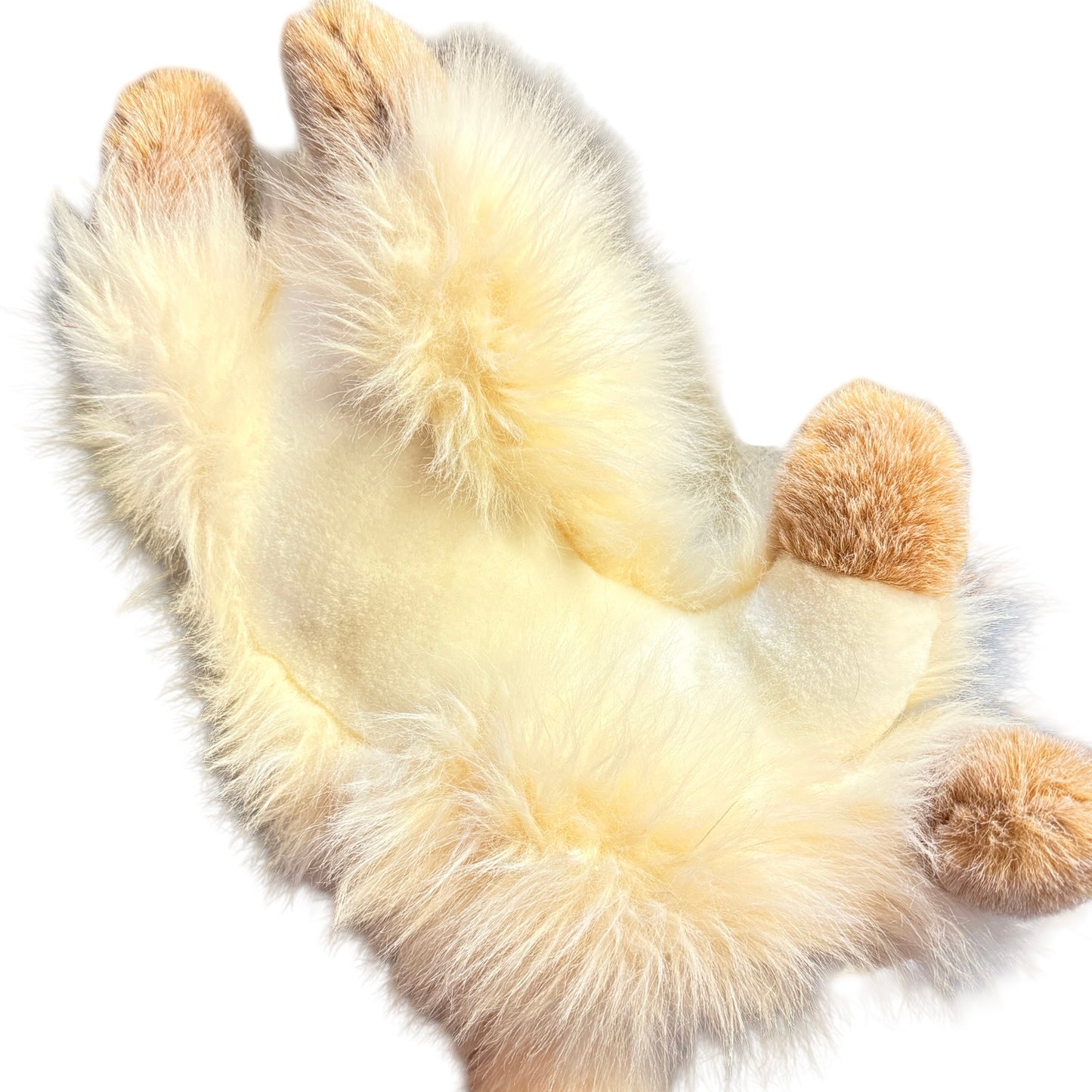 Details Comic Strip Himalayan 16" Stuffed Cream & Tan Stuffed Cat/Kitten, Ultra Furry & Cuddly