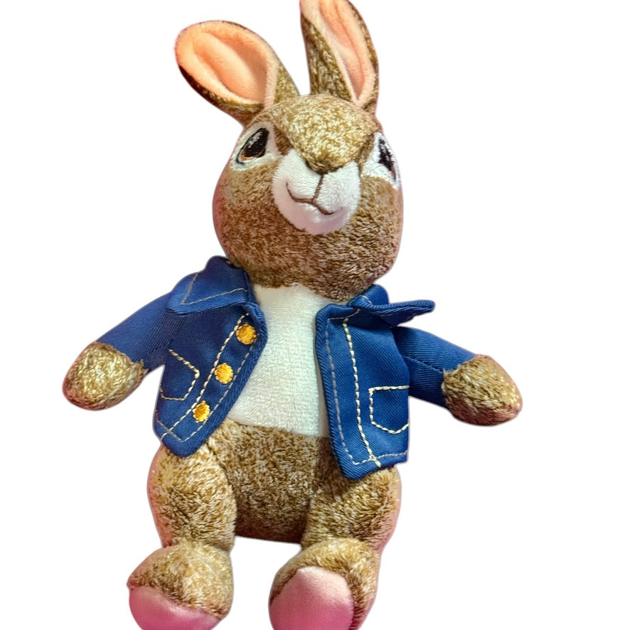 Dandee Frosted Peter Rabbit 9" Plush Stuffed Animal Toy Embroidered Eyes & Finely Detailed Jacket