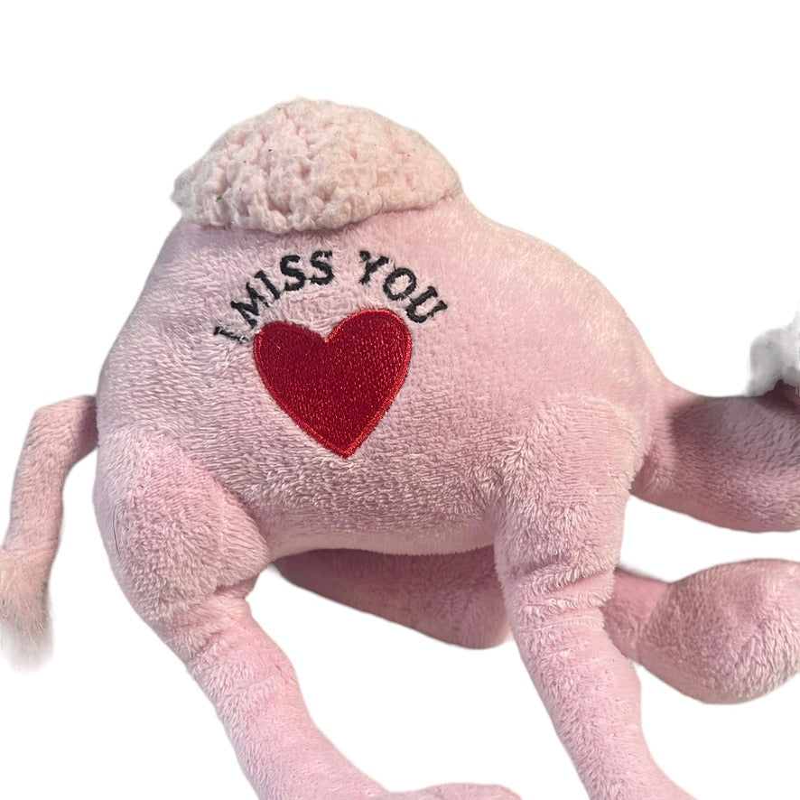 Military Baby Camel, 'I Miss You' Pink Stuffed Animal, Camo Sun Hat, Kuwait Naval Base