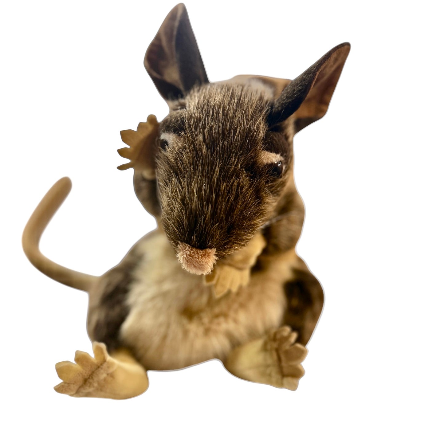 Realistic Folkmanis Pack Rat Hand Puppet with Burlap Sac and Huge Ears & Eyes! So Cute!