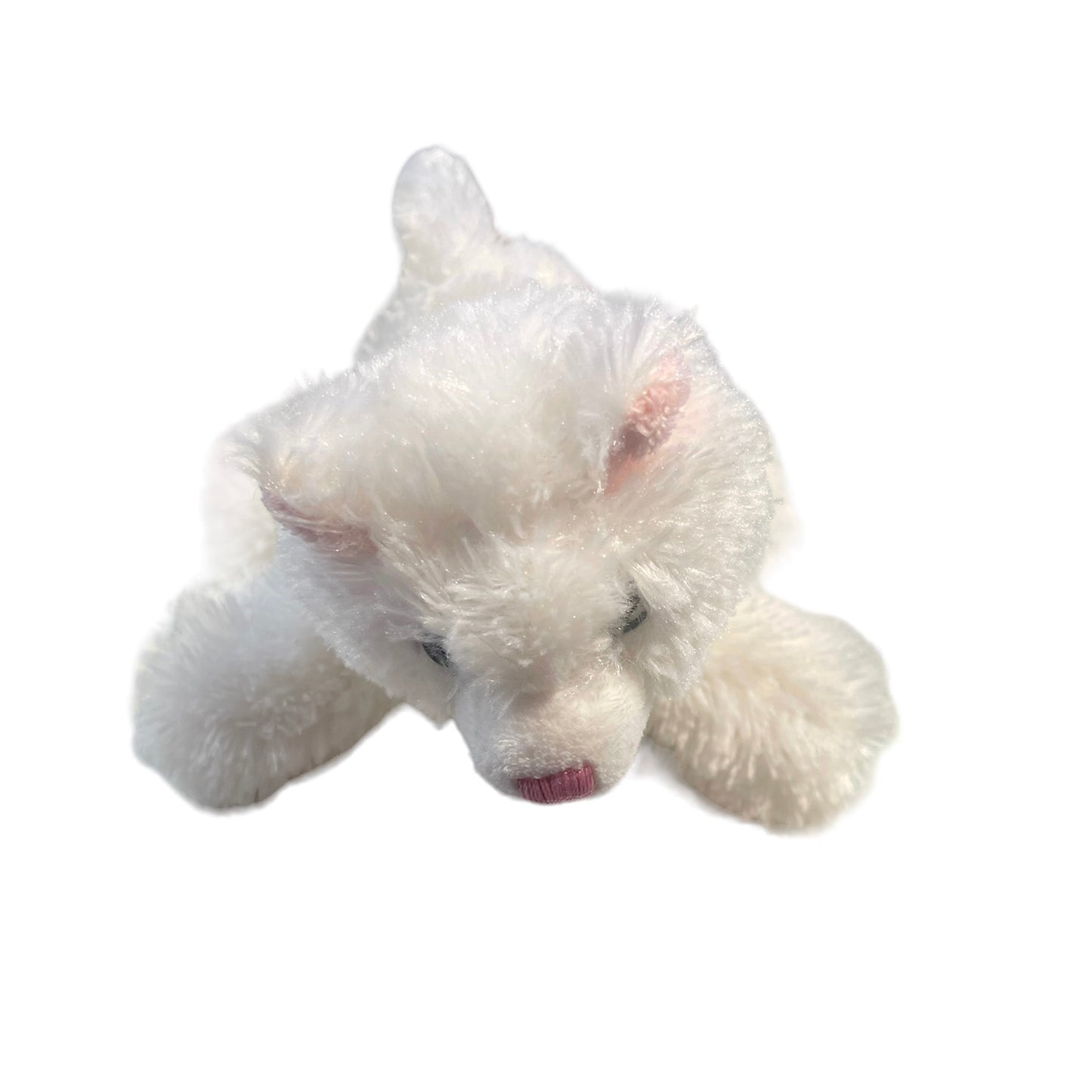 Aurora Kitten, Sugar Too, Fluffy White 6" Kitten with Pretty Blue Eyes Stuffed Animal Toy in GUC