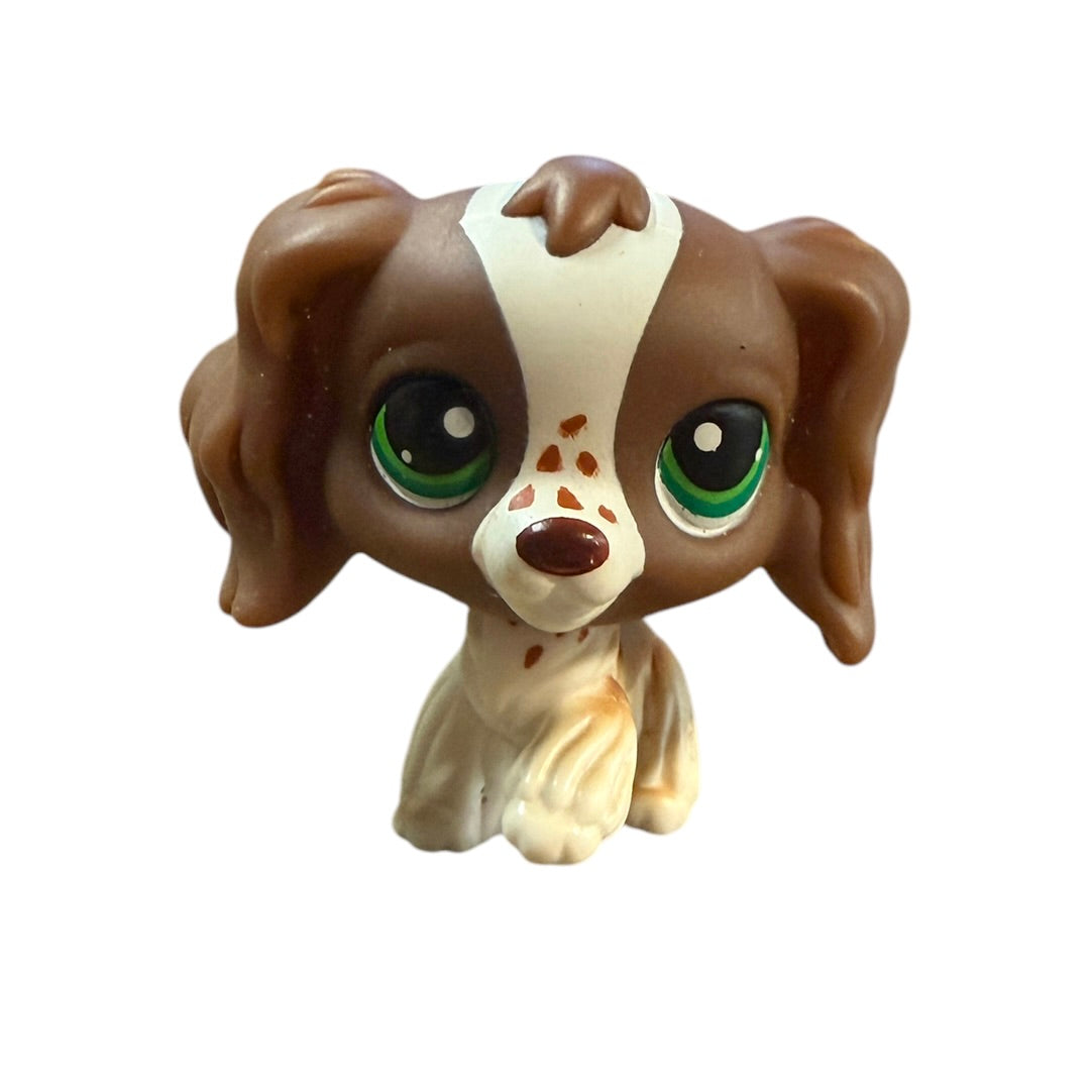 Littlest Pet Shop Bobble Head Brown & White Cocker Spaniel 2" Figurine Hasbro,#156