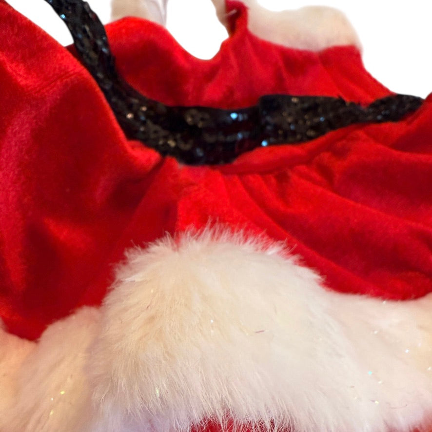 Build-a-Bear Christmas Dress, Red Velvet with White 'Fur' Trim &  Black Sparkly Sequins! GUC