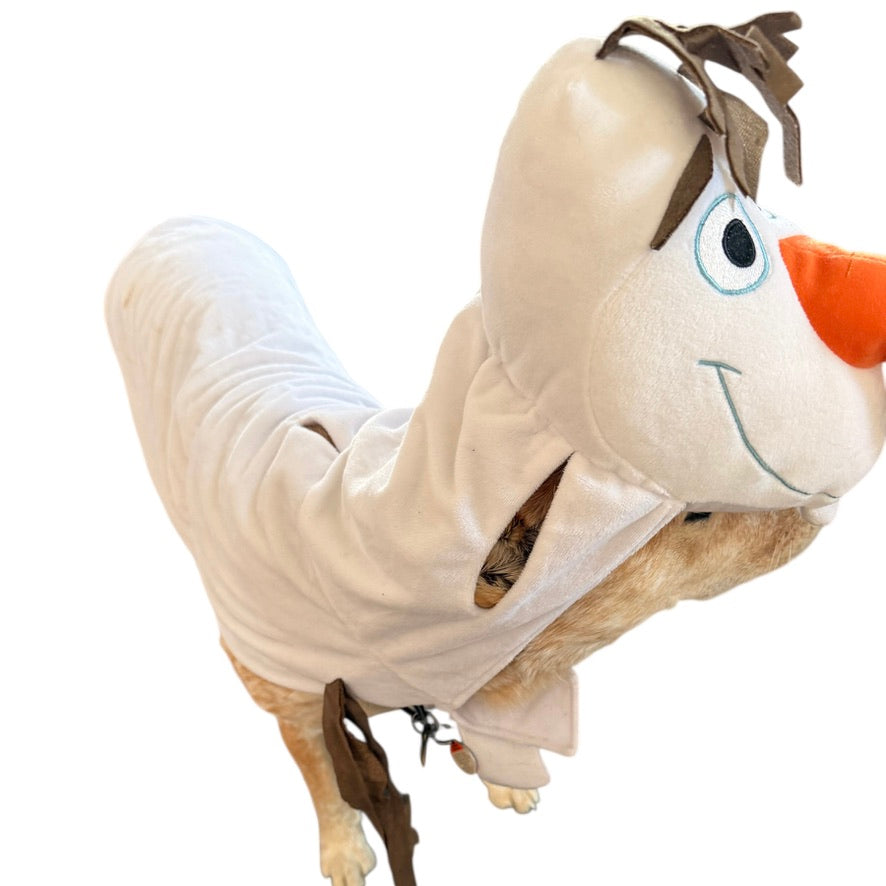From Disney Frozen, Adorable Olaf Costume for your Canine Friend! Halloween Fun for Dogs!