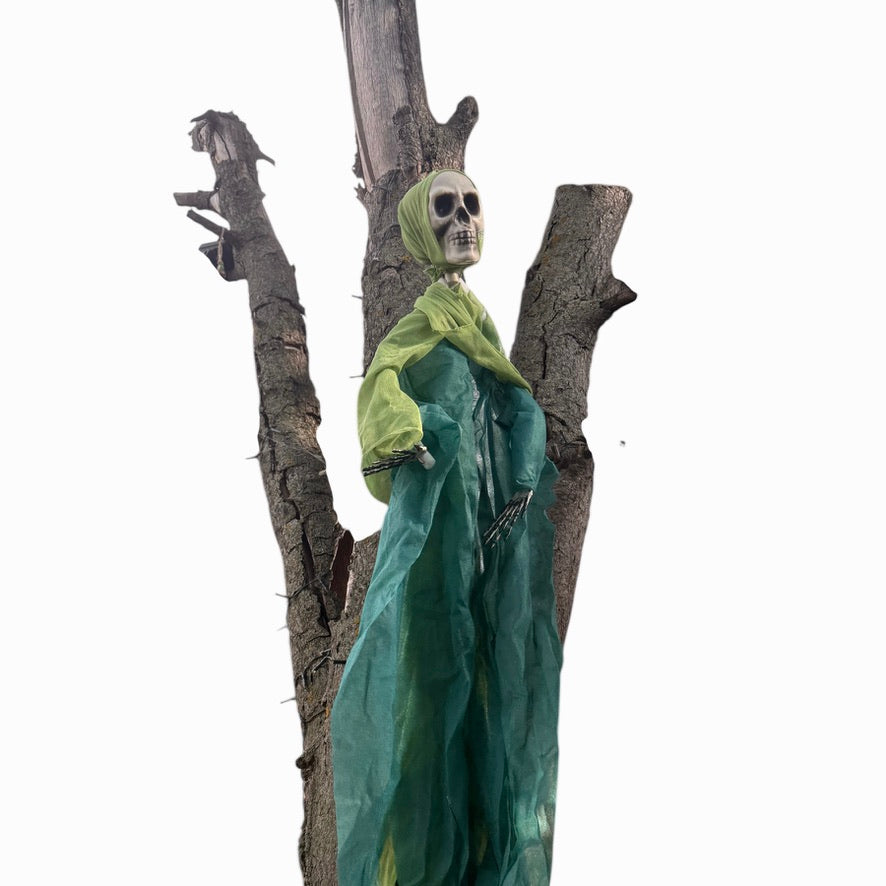 Floating Ghoul,  Skeletal Hands &  Bony Bleached  Skull in Tattered Green Shroud, Preowned
