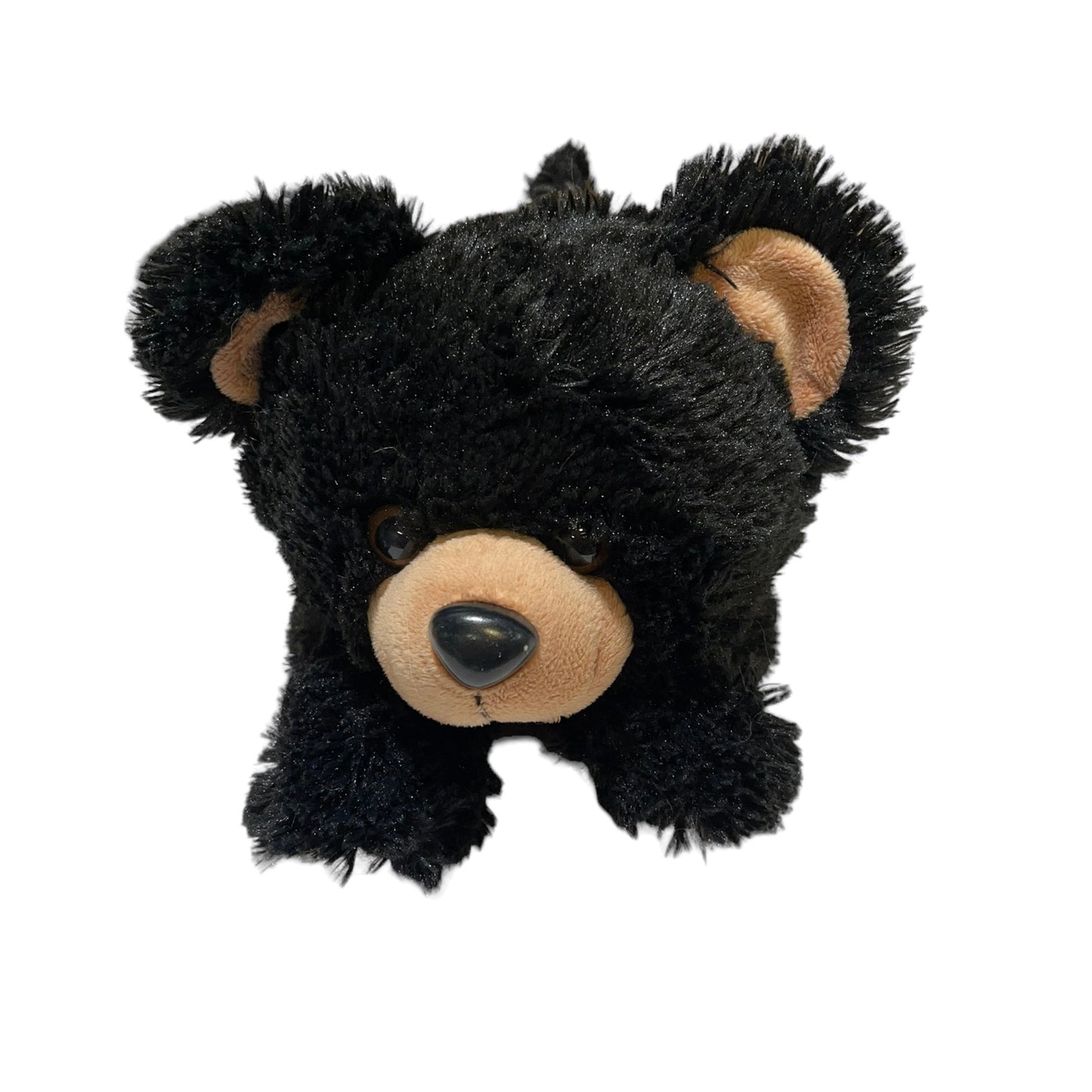 Cuddly Baby Black Bear with Tan  Accents Preowned Vintage in GUC